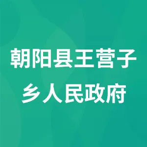 朝阳县王营子乡人民政府
