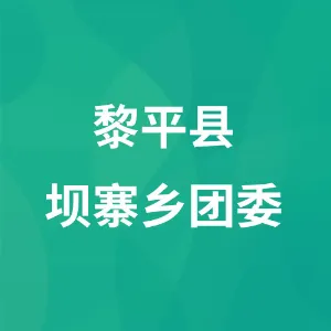 黎平县坝寨乡团委