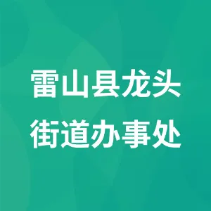雷山县龙头街道办事处