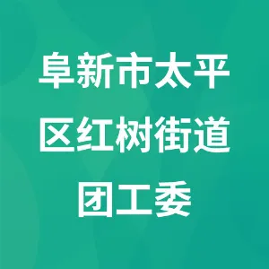 辽宁省阜新市太平区红树街道团工委