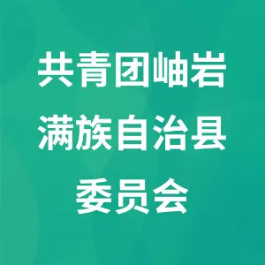 共青团岫岩满族自治县委员会