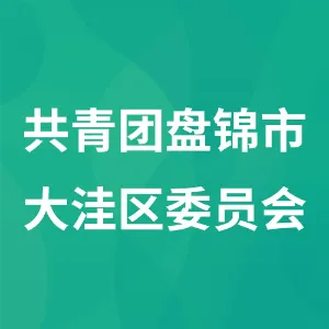共青团盘锦市大洼区委员会