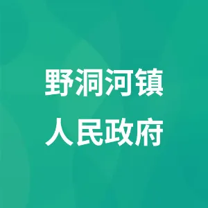 野洞河镇人民政府