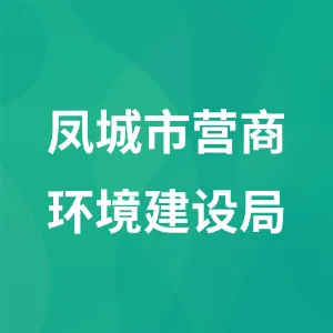 凤城市营商环境建设局