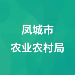 凤城市农业农村局