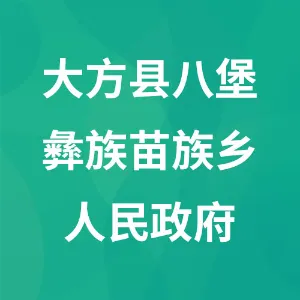 大方县八堡彝族苗族乡人民政府