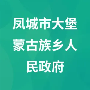 凤城市大堡蒙古族乡人民政府