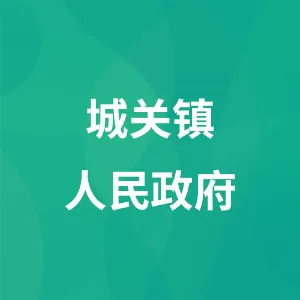城关镇人民政府