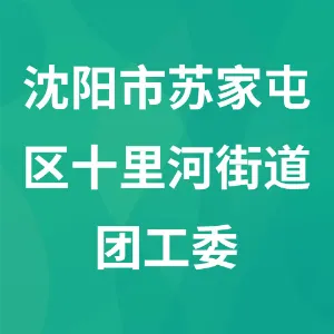 沈阳市苏家屯区十里河街道团工委