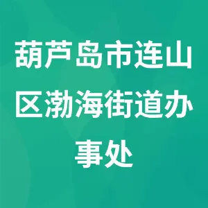 辽宁省葫芦岛市连山区渤海街道办事处