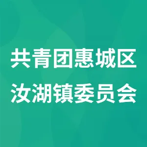 共青团惠城区汝湖镇委员会