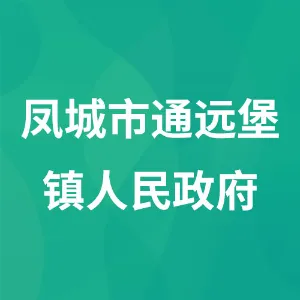 辽宁省凤城市通远堡镇人民政府