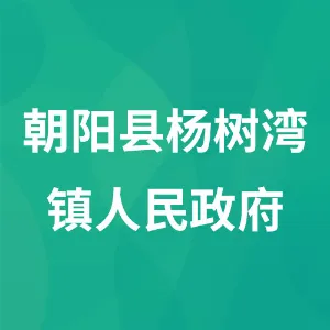 朝阳县杨树湾镇人民政府