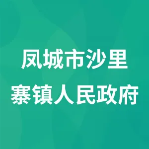 凤城市沙里寨镇人民政府