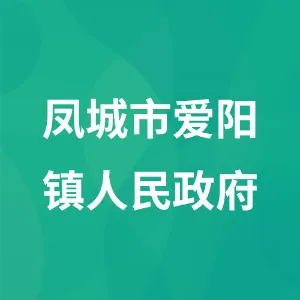 凤城市爱阳镇人民政府