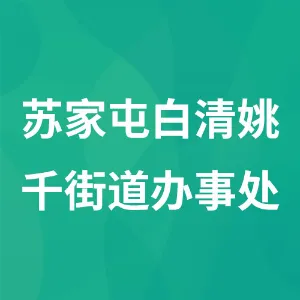 沈阳市苏家屯区人民政府白清姚千街道办事处