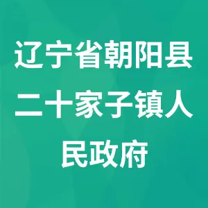 辽宁省朝阳县二十家子镇人民政府