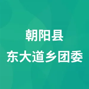 朝阳县东大道乡团委