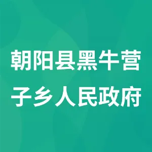 朝阳县黑牛营子乡人民政府