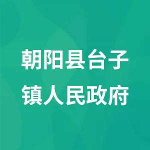 朝阳县台子镇人民政府