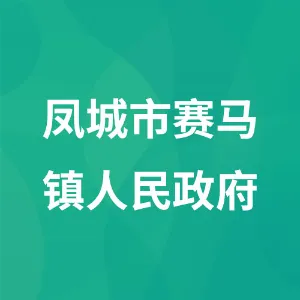 凤城市赛马镇人民政府