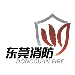 东莞市消防救援支队大朗大队