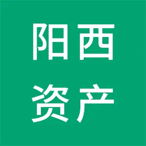 阳西县资产经营有限公司