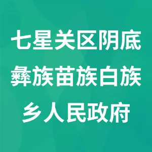 共青团七星关区阴底彝族苗族白族乡委员会