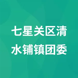 七星关区清水铺镇团委