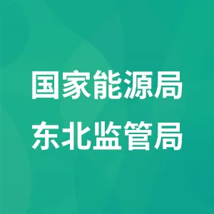 国家能源局东北监管局