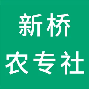 金沙县新桥农业农民专业合作社