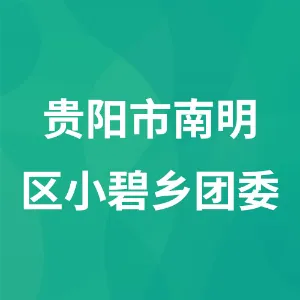 贵阳市南明区小碧乡团委