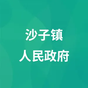 沙子镇人民政府