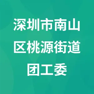 深圳市南山区桃源街道团工委