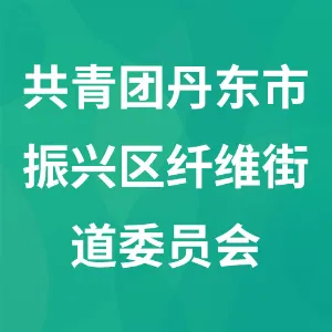 共青团丹东市振兴区纤维街道委员会