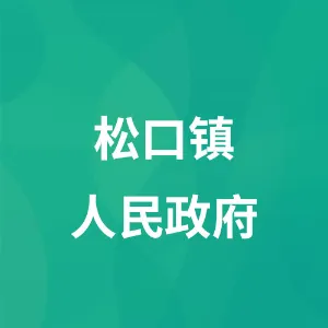 松口镇人民政府