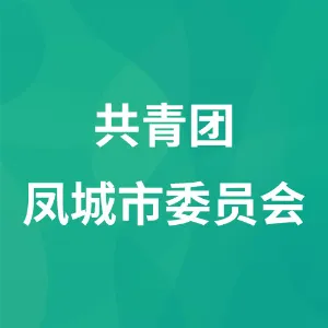 共青团凤城市委员会