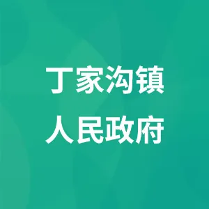 丁家沟镇人民政府