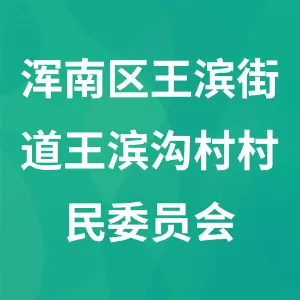 辽宁省沈阳市浑南区王滨街道王滨沟村村民委员会