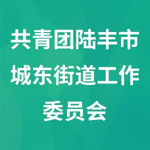 共青团陆丰市城东街道工作委员会
