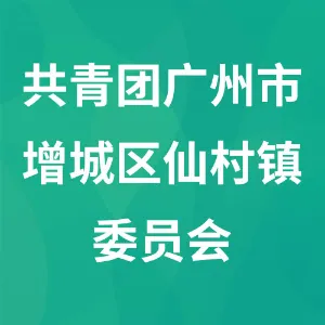 共青团广州市增城区仙村镇委员会