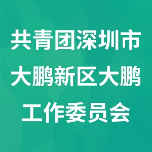 共青团深圳市大鹏新区大鹏工作委员会