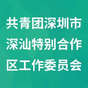 共青团深圳市深汕特别合作区工作委员会
