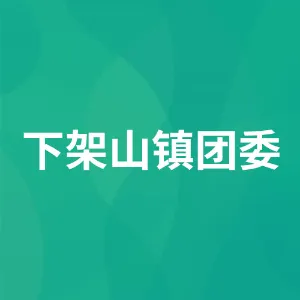 下架山镇团委