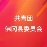 共青团佛冈县委员会