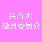 中国共产主义青年团徽县委员会