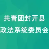 共青团封开县政法系统委员会