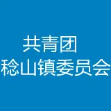 共青团稔山镇委员会