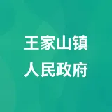 王家山镇人民政府