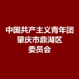 中国共产主义青年团肇庆市鼎湖区委员会